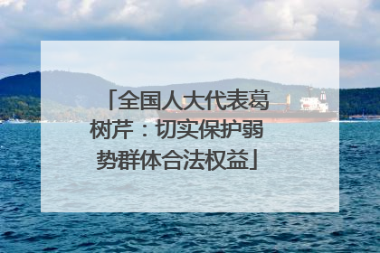 全国人大代表葛树芹：切实保护弱势群体合法权益
