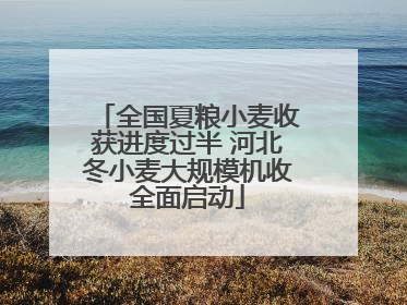全国夏粮小麦收获进度过半 河北冬小麦大规模机收全面启动