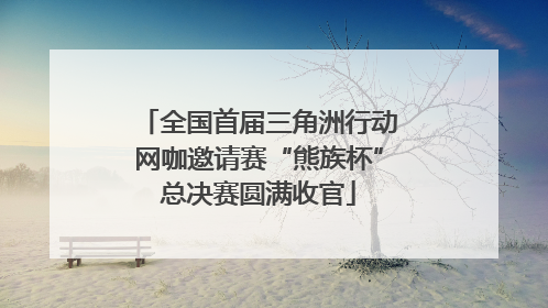 全国首届三角洲行动网咖邀请赛“熊族杯”总决赛圆满收官