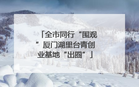 全市同行“围观”厦门湖里台青创业基地“出圈”