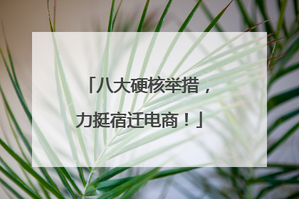 八大硬核举措，力挺宿迁电商！
