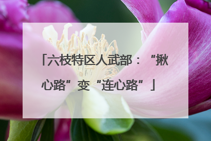 六枝特区人武部：“揪心路”变“连心路”