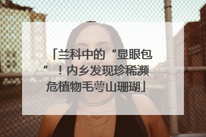 兰科中的“显眼包”！内乡发现珍稀濒危植物毛萼山珊瑚