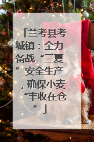 兰考县考城镇：全力备战“三夏”安全生产，确保小麦“丰收在仓”