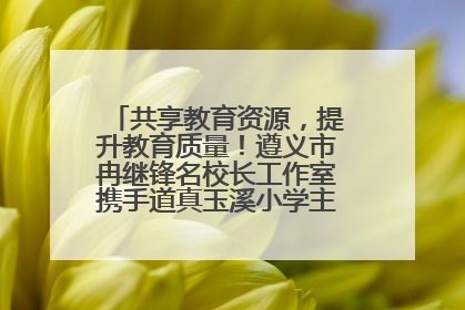 共享教育资源，提升教育质量！遵义市冉继锋名校长工作室携手道真玉溪小学主题研修出新出彩