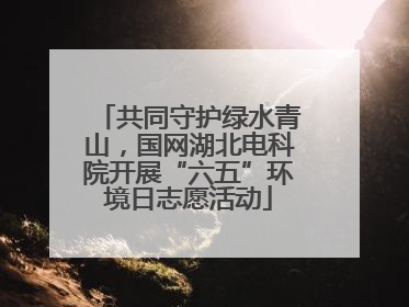 共同守护绿水青山，国网湖北电科院开展“六五”环境日志愿活动