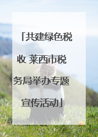 共建绿色税收 莱西市税务局举办专题宣传活动