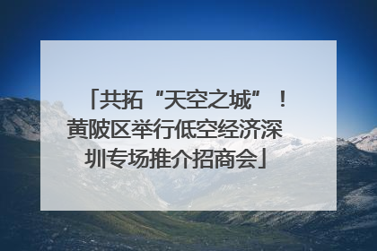 共拓“天空之城”！黄陂区举行低空经济深圳专场推介招商会