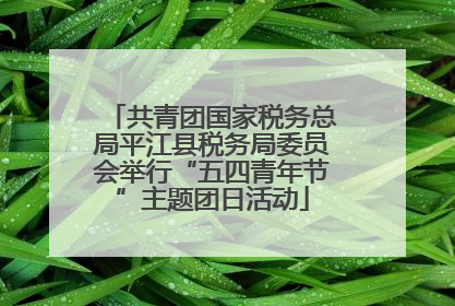 共青团国家税务总局平江县税务局委员会举行“五四青年节”主题团日活动