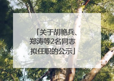 关于胡艳兵、郑涛等2名同志拟任职的公示