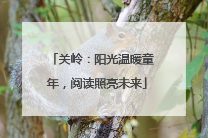 关岭：阳光温暖童年，阅读照亮未来