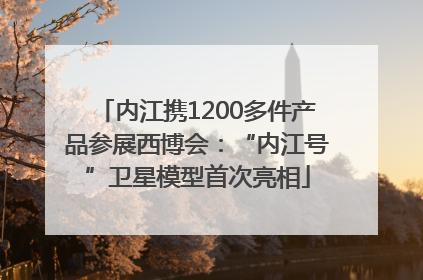 内江携1200多件产品参展西博会：“内江号”卫星模型首次亮相