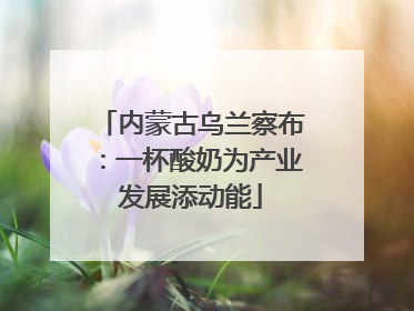 内蒙古乌兰察布：一杯酸奶为产业发展添动能