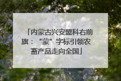 内蒙古兴安盟科右前旗：“蒙”字标引领农畜产品走向全国