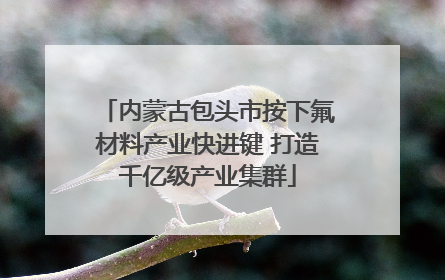 内蒙古包头市按下氟材料产业快进键 打造千亿级产业集群