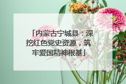内蒙古宁城县：深挖红色党史资源，筑牢爱国精神根基