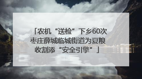 农机“送检”下乡60次 枣庄薛城临城街道为夏粮收割添“安全引擎”