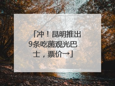 冲！昆明推出9条吃菌观光巴士，票价→