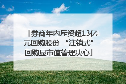 券商年内斥资超13亿元回购股份 “注销式”回购显市值管理决心