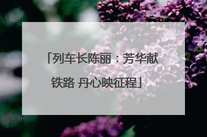 列车长陈丽：芳华献铁路 丹心映征程