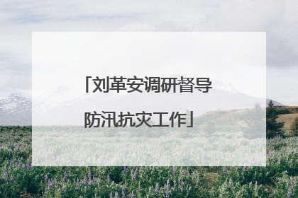 刘革安调研督导防汛抗灾工作