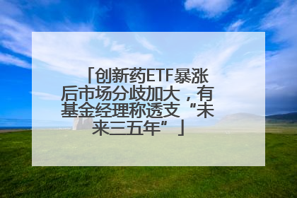 创新药ETF暴涨后市场分歧加大，有基金经理称透支“未来三五年”