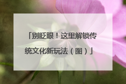 别眨眼！这里解锁传统文化新玩法（图）