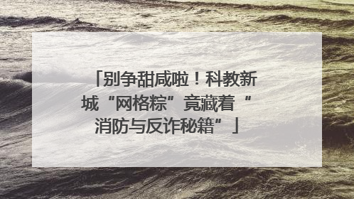 别争甜咸啦！科教新城“网格粽”竟藏着“消防与反诈秘籍”