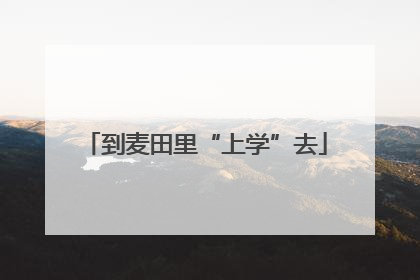 到麦田里“上学”去