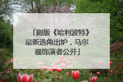 剧版《哈利波特》最新选角出炉，马尔福饰演者公开