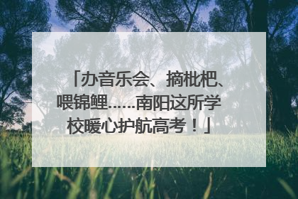 办音乐会、摘枇杷、喂锦鲤……南阳这所学校暖心护航高考！