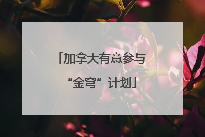 加拿大有意参与“金穹”计划