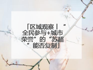 区域观察丨“全民参与+城市荣誉”的“苏超”能否复制