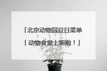 北京动物园夏日菜单丨动物食堂上新啦！