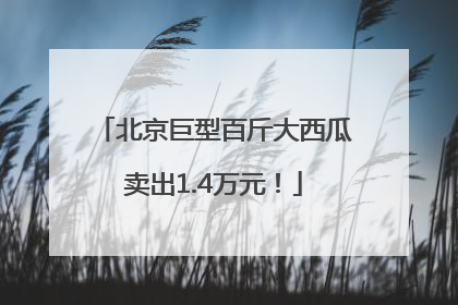 北京巨型百斤大西瓜卖出1.4万元！