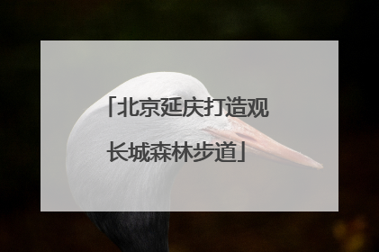 北京延庆打造观长城森林步道