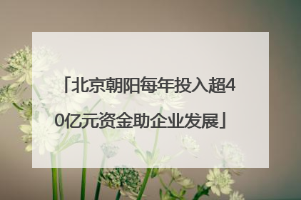 北京朝阳每年投入超40亿元资金助企业发展
