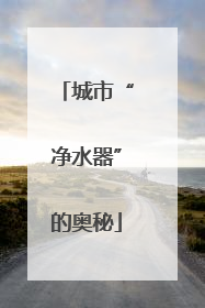 城市“净水器”的奥秘