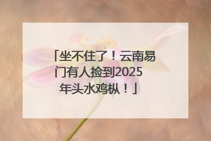 坐不住了！云南易门有人捡到2025年头水鸡枞！