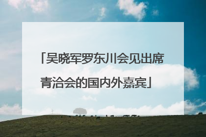 吴晓军罗东川会见出席青洽会的国内外嘉宾