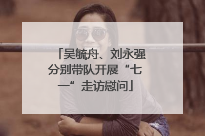 吴毓舟、刘永强分别带队开展“七一”走访慰问