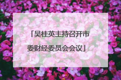 吴桂英主持召开市委财经委员会会议