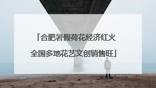 合肥暑假荷花经济红火 全国多地花艺文创销售旺
