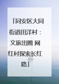 同安区大同街道田洋村：文旅出圈 网红村探索长红路