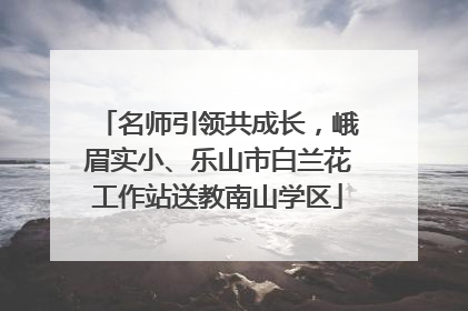 名师引领共成长，峨眉实小、乐山市白兰花工作站送教南山学区