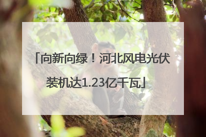 向新向绿！河北风电光伏装机达1.23亿千瓦