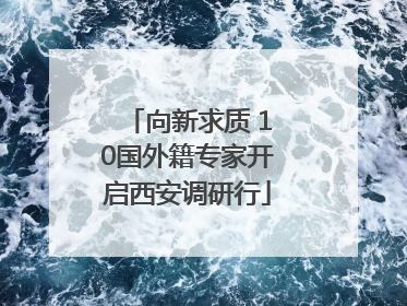 向新求质 10国外籍专家开启西安调研行