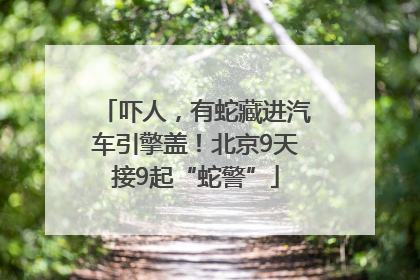 吓人，有蛇藏进汽车引擎盖！北京9天接9起“蛇警”