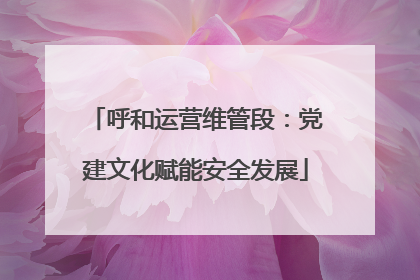 呼和运营维管段：党建文化赋能安全发展