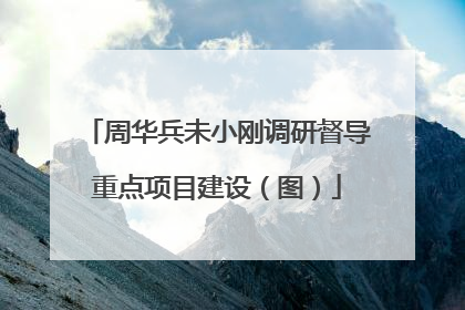 周华兵未小刚调研督导重点项目建设（图）